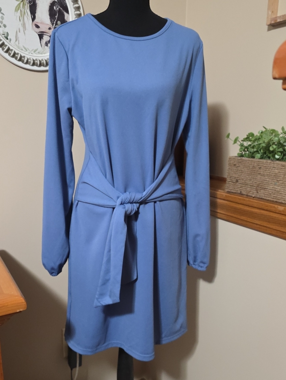 Blue Long-Sleeve Tie-Waist Dress - Classic Everyday Style